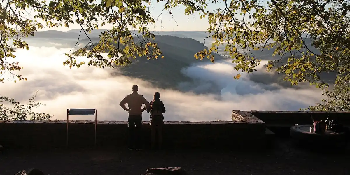 Cómo solicitar retroalimentación