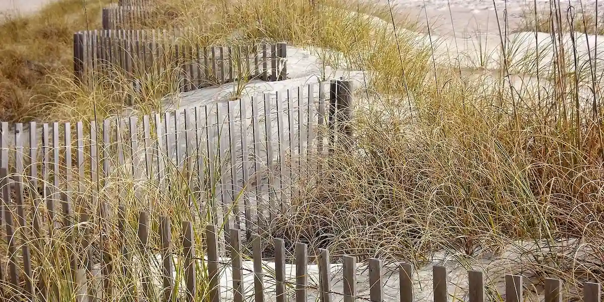 Cómo el razonamiento motivado bloquea el pensamiento crítico
